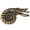 Style 2, variant on Jiibva Large Brass Nautilus Decorative Figurine Mini Marine Animal Statue for Home Office