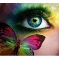 thumbnail image 1 of Butterfly and Eye - Peinture Diamant DIY, 1 of 6