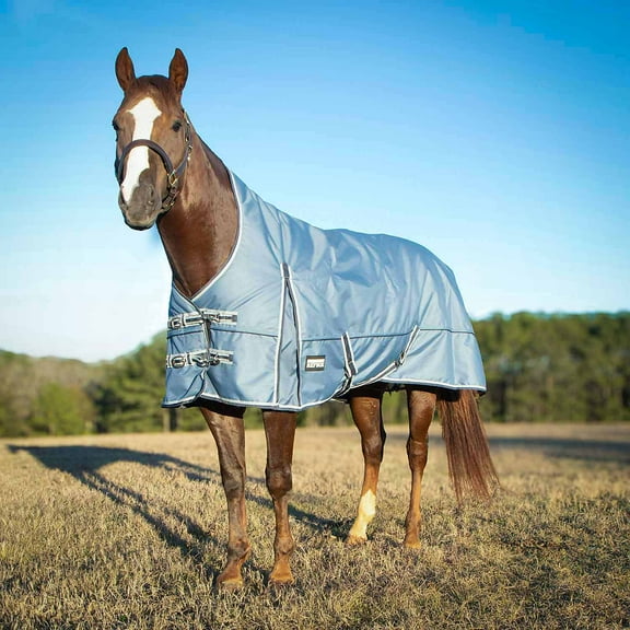 Jeffers Poplar Head Refuge 1200 Denier Turnout Blanket w/ High Neck, Hamilton Blue, 69"– Waterproof & Breathable Horse Blanket, 240g Insulation, Adjustable Fit for Comfort & Safe Use, Durable Design