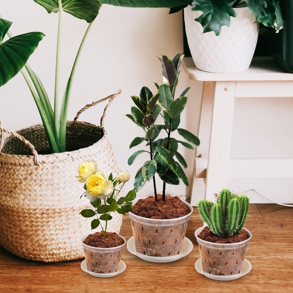 Hytrove Set of 3 Clear Plastic Nursery Pots with Drainage Holes for Orchids and Garden Plants Growing