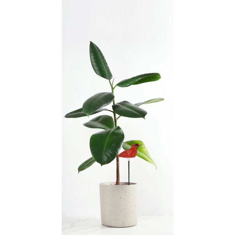 Automatic Soil Water Tester Bonsai Plant Flower Pot Moisture Meter  Hygrometer Bird Shape Needle Alarm Alerter - Walmart.com