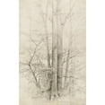 thumbnail image 2 of Heinrich Dreber 11x14 Gold Ornate Wood Frame and Double Matted Museum Art Print Titled - A Stand of Trees (1840), 2 of 4
