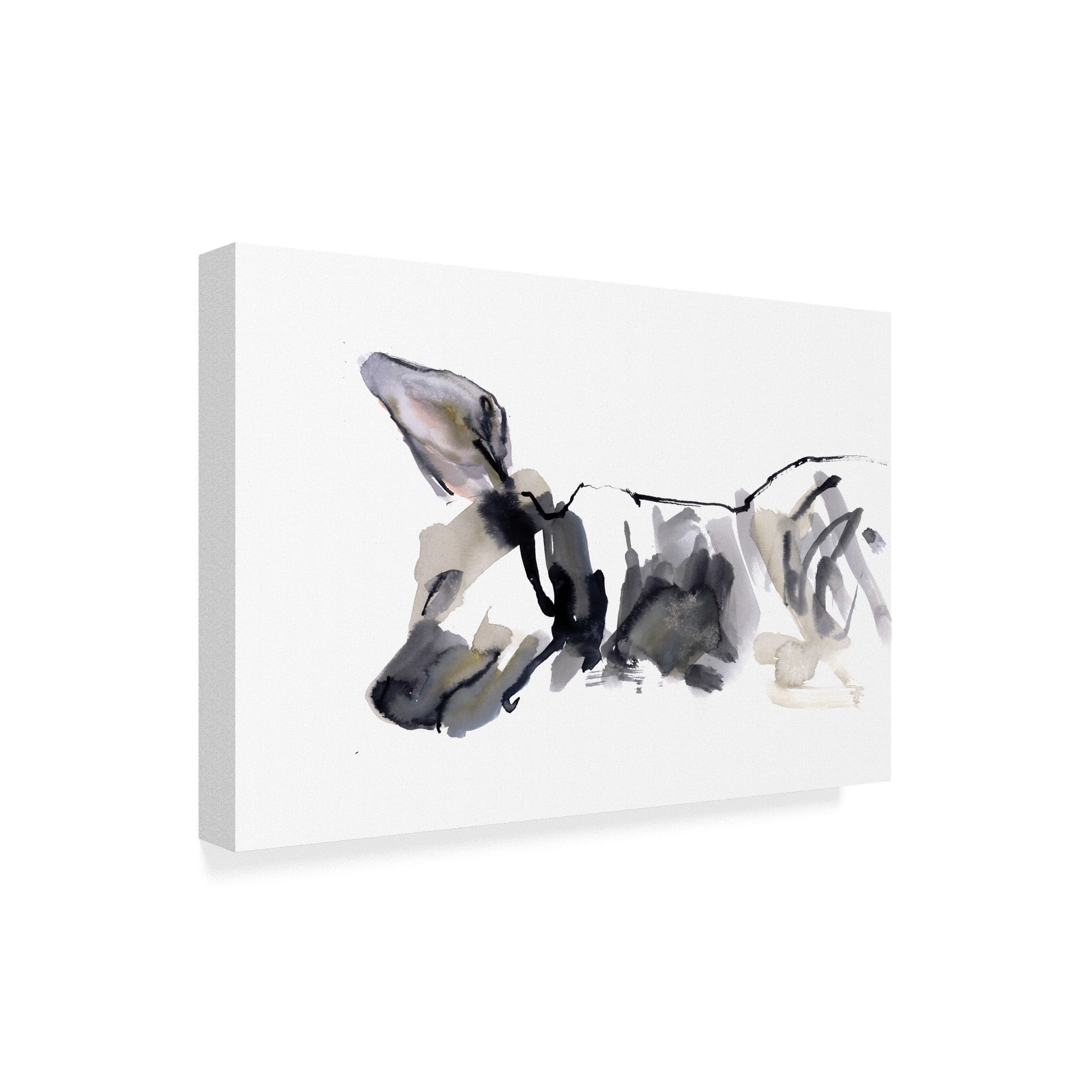 Trademark Fine Art 'Sleeping Hyena' Canvas Art by Mark Adlington
