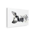 thumbnail image 2 of Trademark Fine Art 'Sleeping Hyena' Canvas Art by Mark Adlington, 2 of 3