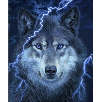 Dawhud Direct Thunder Wolf Super Soft Plush Fleece Throw Blanket