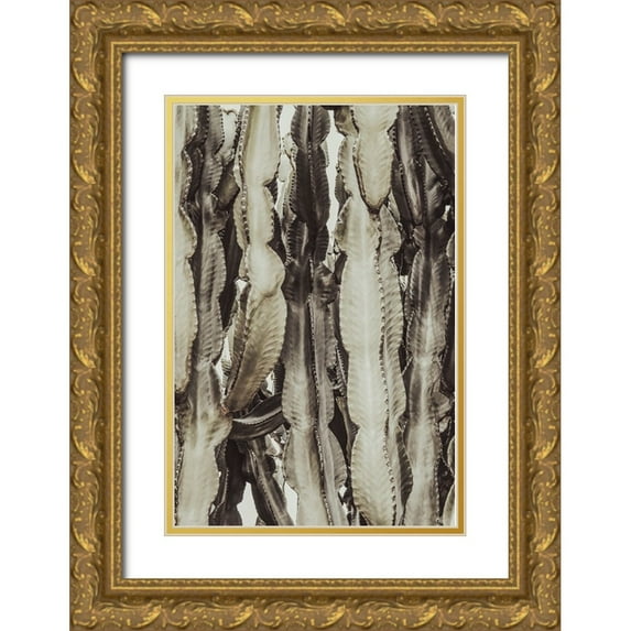 Artographie Studio 17x24 Gold Ornate Wood Framed with Double Matting Museum Art Print Titled - Cactus 001