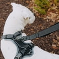 thumbnail image 4 of HOOZA: Magnetic Quick Clip: Reflective Leash - Black, Small - 5/8" x 6' Dog Outdoor Accessory, Pet Safety-Walking-Training-Control, Padded Loop Handle, 4 of 10
