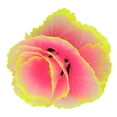thumbnail image 3 of Simulation Coral Decoration Simulation Lettuce Coral Ornament Fluorescent Aquarium Decoration Aquarium Decoration Simulation Coral Decoration Fluorescent Fish  Plants Decoration, 3 of 8