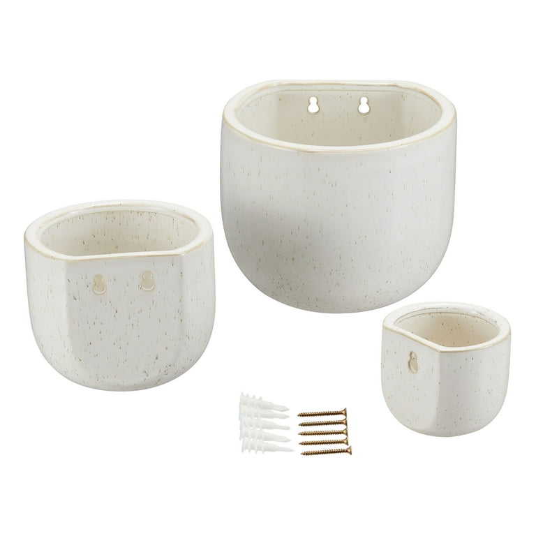 他サイトで販売済み★シンガポールホワイト小苗C−3又48cm 他サイトで販売済み☆シンガポールホワイト小苗C−3又48cm L.E.S. Next (