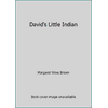 David's Little Indian [Hardcover - Used]