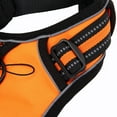 thumbnail image 6 of Mr. Peanut's PetTrek Harness With Matching Leash, 6 of 9