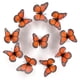 thumbnail image 2 of 10 Adhesivos De Pared 3D Decoraciones Artísticas Decoraciones Pared 3D 10 Adhesivos De Pared Mariposas Naranjas Realistas Para Primavera, Verano Y Otoño Decoraciones Artesanales Para El Hogar, La M, 2 of 4
