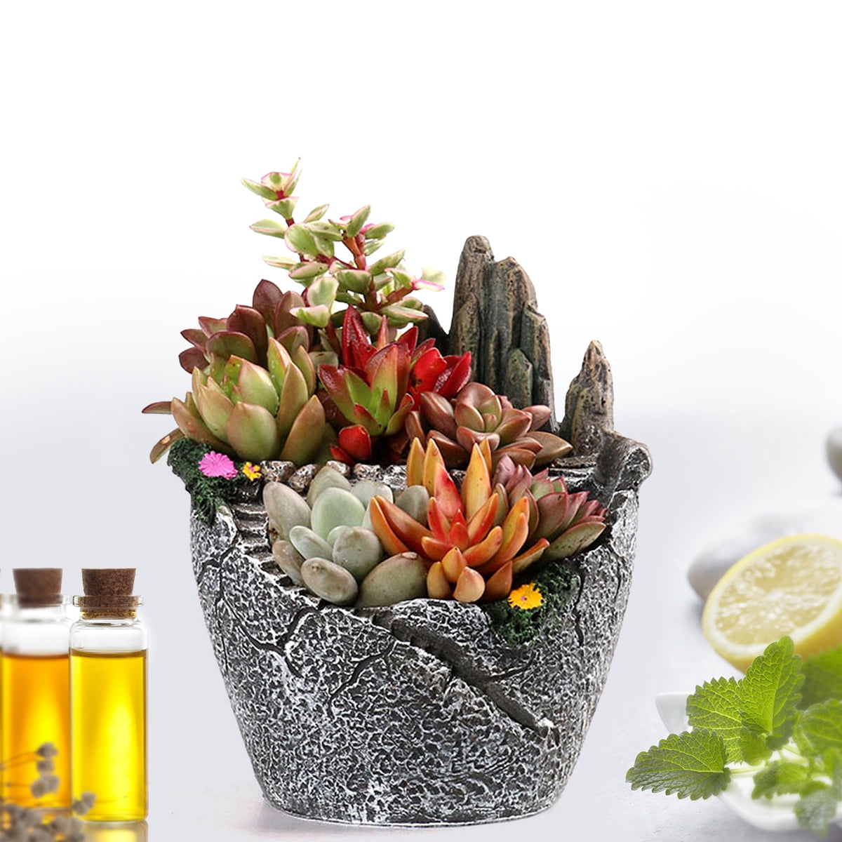 Succulent Herb Flower Basket Planter Plant Sky Bonsai