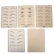 thumbnail image 5 of Microblading Práctica Piel Piel Maquillaje Práctica Ceja Práctica Piel Práctica Piel Hoja Entrenamiento PielPiel de práctica de microblading Amonsee No, 5 of 5