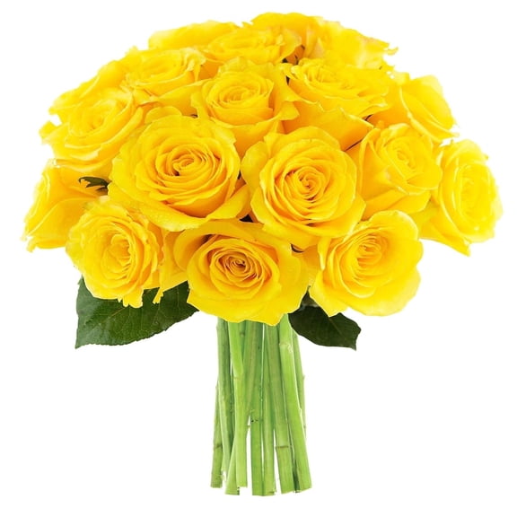 KaBloom : 18 Yellow Roses, 3 Greens, Next-Day Delivery, Gift for Every Occasion.
