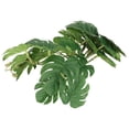 thumbnail image 4 of Leaf Rattan, Natural Artificial Palm Plants Leaves   For Rainforest Tank, 4 of 8