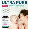 thumbnail image 2 of Pure Co Organic Goat's Rue Herb Lactation Supplement for Breast Milk Supply, 60 Capsules, 2 of 8