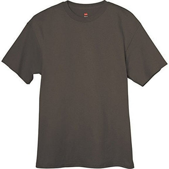 Hanes Mens Beefy-T® Crewneck Short-Sleeve T-Shirt (Pack of 4) (2 Smoke Gray / 2 White)