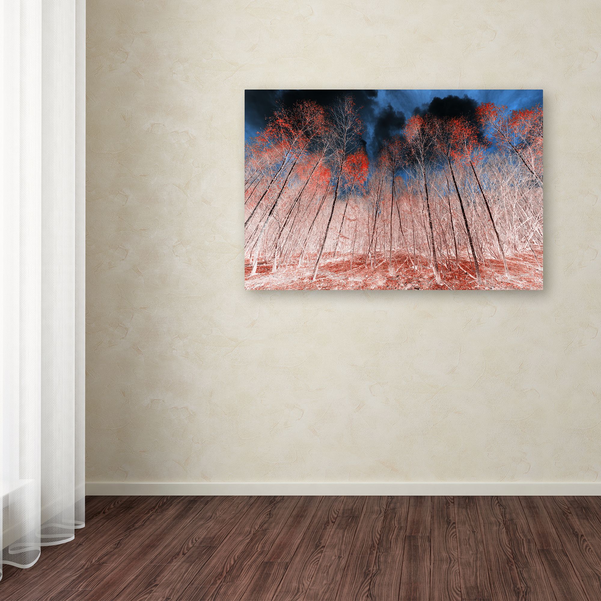 Trademark Fine Art "First Show" Canvas Art by Philippe Sainte-Laudy