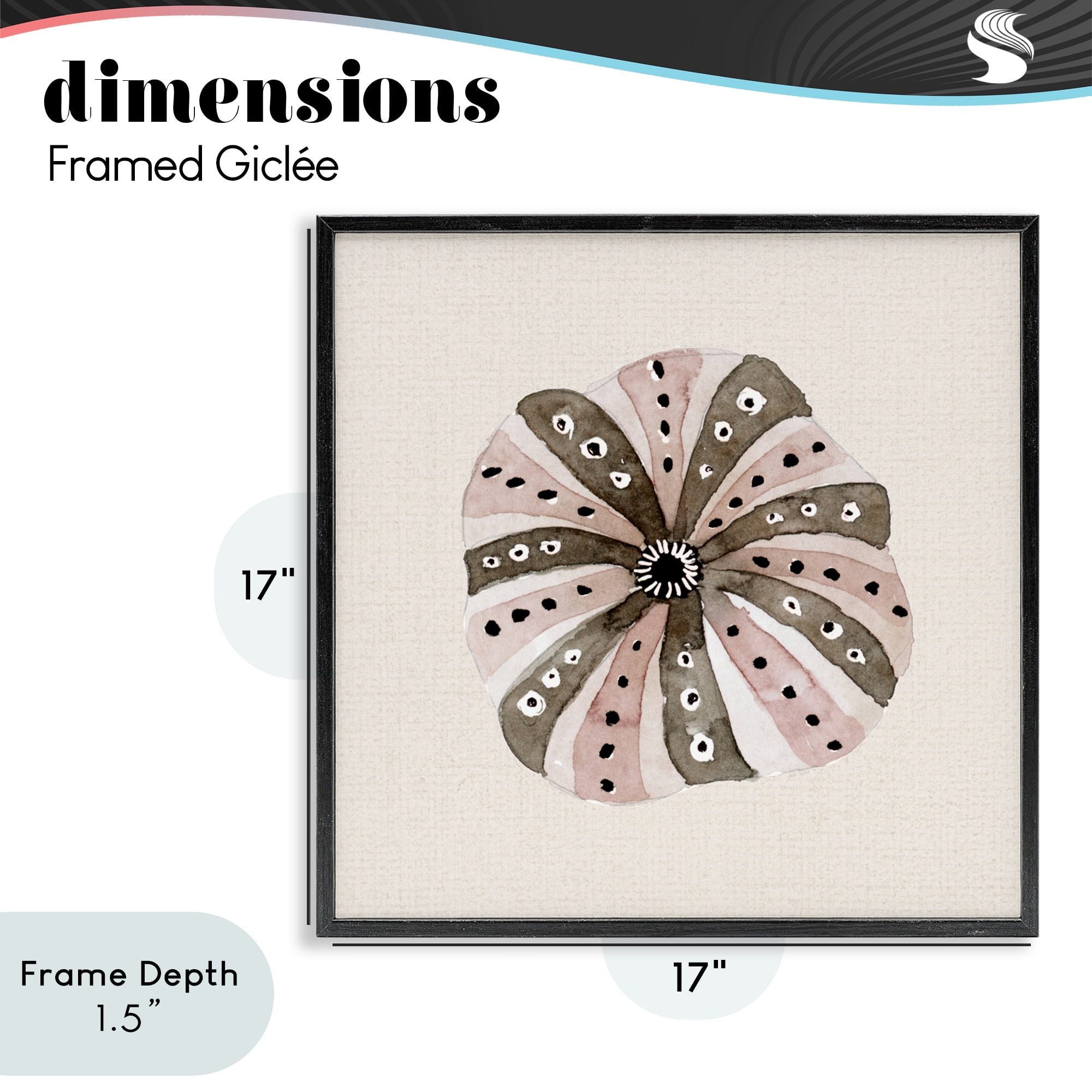 Stupell Industries Taupe Striped Sea Urchin Black Framed Giclee Art, design by Lanie Loreth