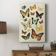 thumbnail image 5 of Collected Flutter I Premium Gallery Wrapped Canvas - Ready to Hang, 5 of 9