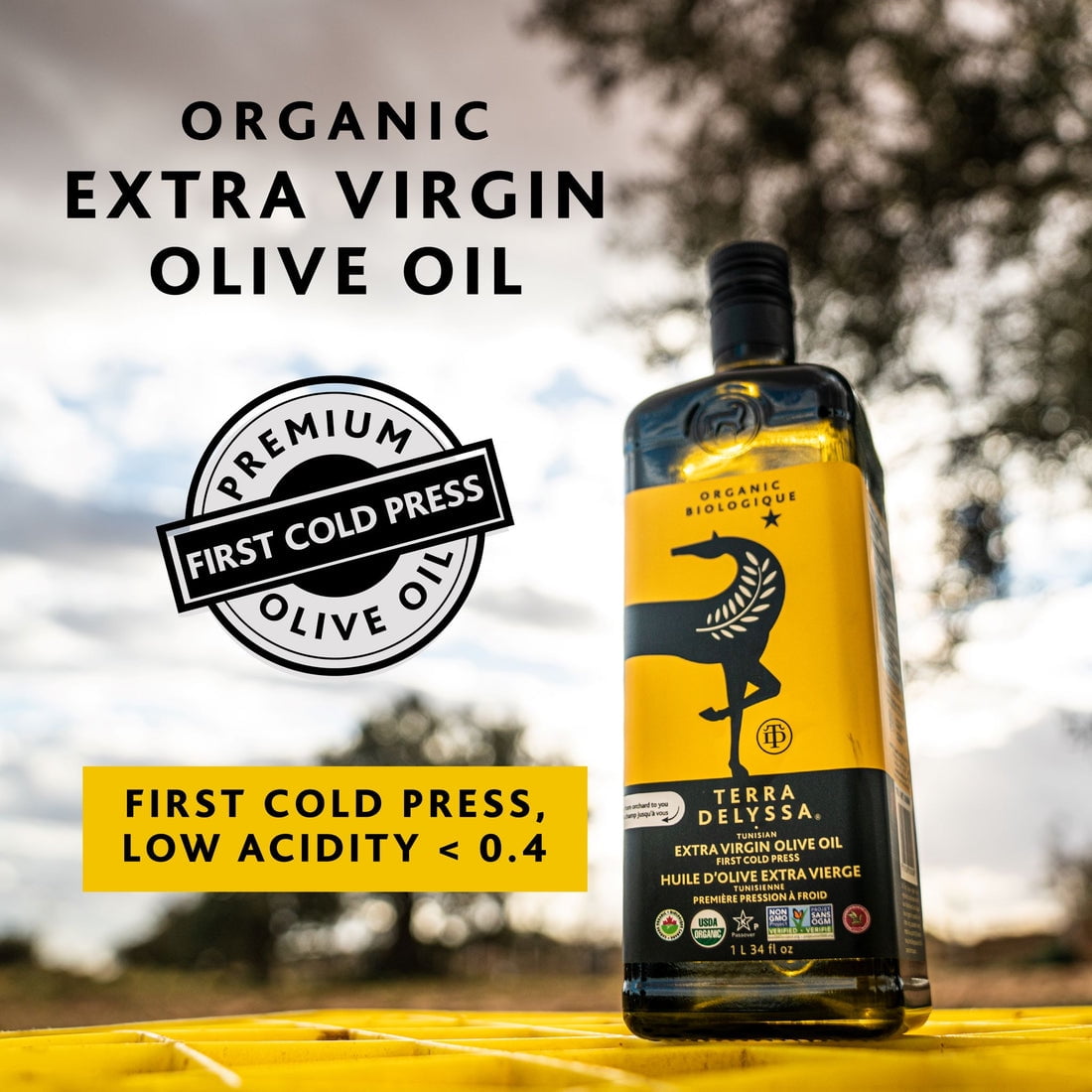 (Pack of 6), Terra Delyssa Organic Extra Virgin Olive Oil, 34 fl oz