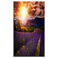 thumbnail image 2 of Beautiful Sunset over Lavender Field - Floral Canvas Art Print, 2 of 3