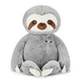 Gray Sloth