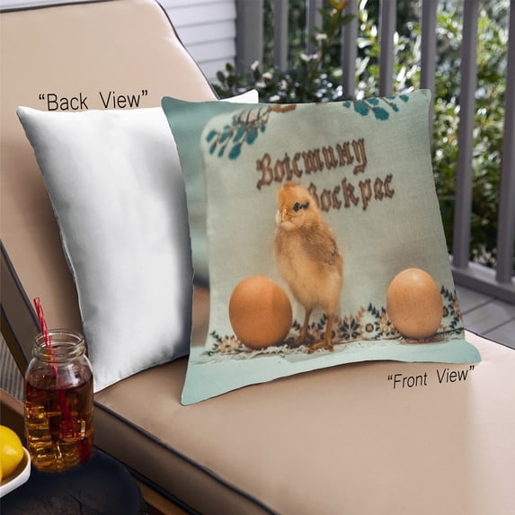 Ahgly Company Foods Egg Outdoor Throw Pillow, 18 inch by 18 inch