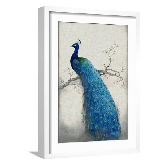 Art.com Peacock Blue II Art Print by Tim OToole, White Frame Wall Art, 17" x 23"