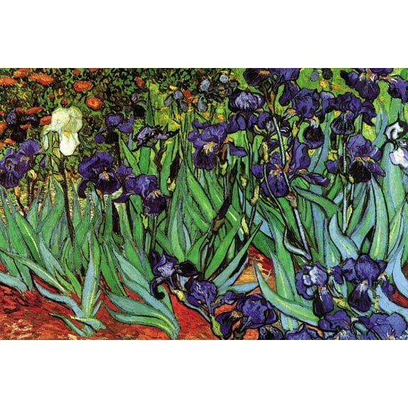 Art.com Irises Art Print by Vincent van Gogh, 18" x 12"