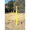 thumbnail image 2 of Blank Warning Stake, Reinforced Polymer, Non-Reflective, 66 Height, Green, 2 of 2