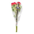 thumbnail image 3 of Bouquet de rosas premium 12 tallos, 3 of 4