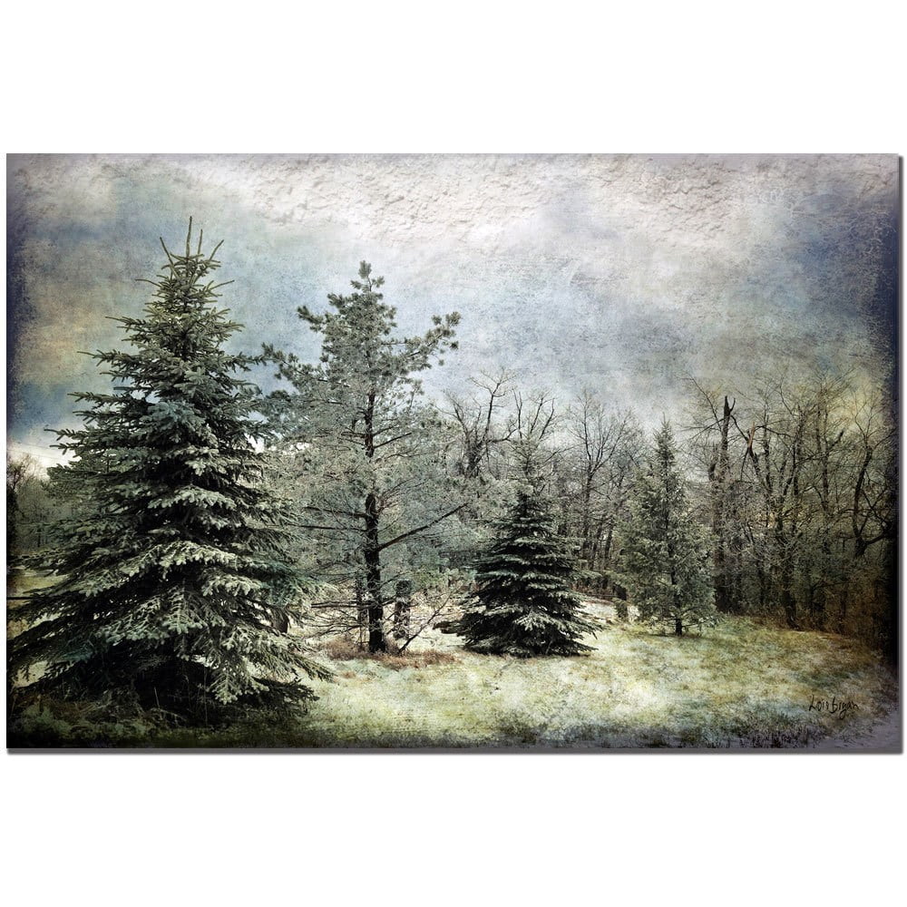 Trademark Fine Art "Frosty" Canvas Art by Lois Bryan