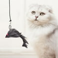 thumbnail image 4 of Cat Toy Mouse Butterfly Fish Shape Pet Teaser Hanging Door Funny Cat Plush Toy Pet Supplies, 4 of 8