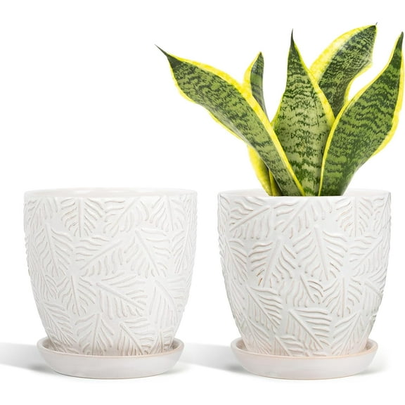 6 Inch Ceramic Plant Pots, Indoor Plant Pots with Drainage Hole & Saucer, Flower Pots, Unique Crackle Glaze Design, White Glaze - Set of 2