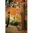 thumbnail image 2 of Geyman, Vitaly 13x18 White Modern Wood Framed Museum Art Print Titled - Fall Colors I, 2 of 4