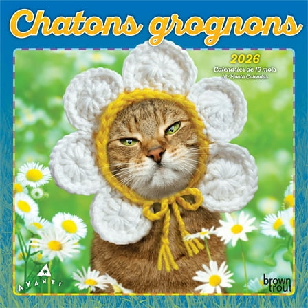 Avanti Chatons grognons OFFICIAL | 2026 7x14" (Hanging) Mini Wall Calendar