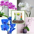 thumbnail image 3 of Orchid Potting Soil Mix (2 Quarts); Fast Draining Healthy Media for Planting/Repotting, 3 of 10