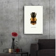 thumbnail image 6 of Epic Art 'Beetle Orange' by GraphINC, Acrylic Glass Wall Art, 24"x36", 6 of 8