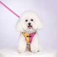 thumbnail image 2 of No Pull Dog Harness for Small and Medium Dogs Adjustable Reflective Dog Harness and Leash Set for Dog Walking Pink 1 Pack, 2 of 3