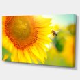 thumbnail image 2 of Beautiful Sunflowers Blooming - Large Animal Canvas Art Print, 2 of 3