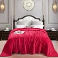 thumbnail image 3 of Home Soft Things Milk Flannel Blanket - Red - 90" x 90", 3 of 7