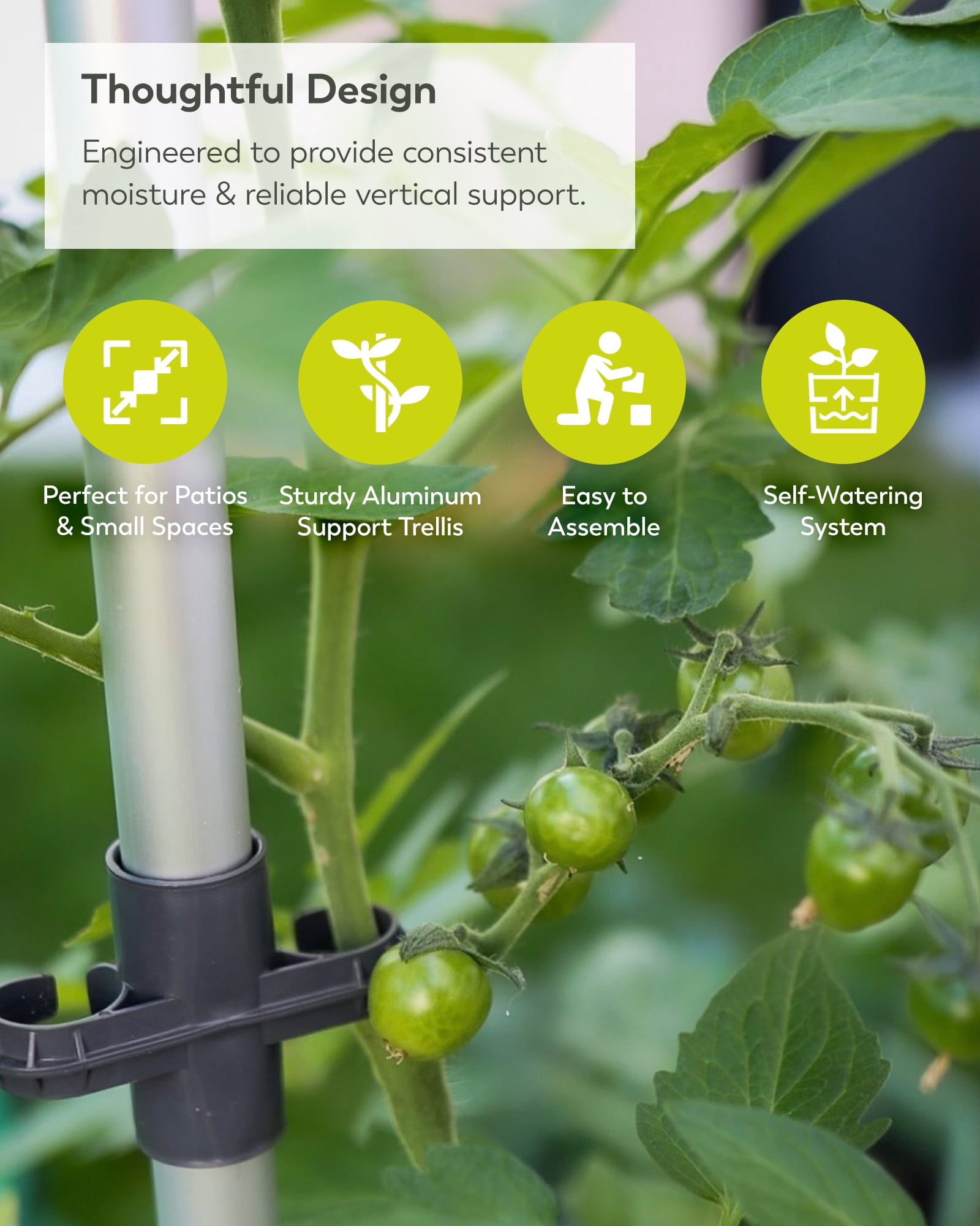 BUZZY Seeds Self-Watering Vertical Tomato Planter with Trellis – 1.2 Gal Reservoir, Large Capacity Planter for Tomatoes & Climbing Plants (Gray)