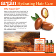 thumbnail image 5 of Difeel Argan Hydrating Premium Hair Oil 8 oz., 5 of 8