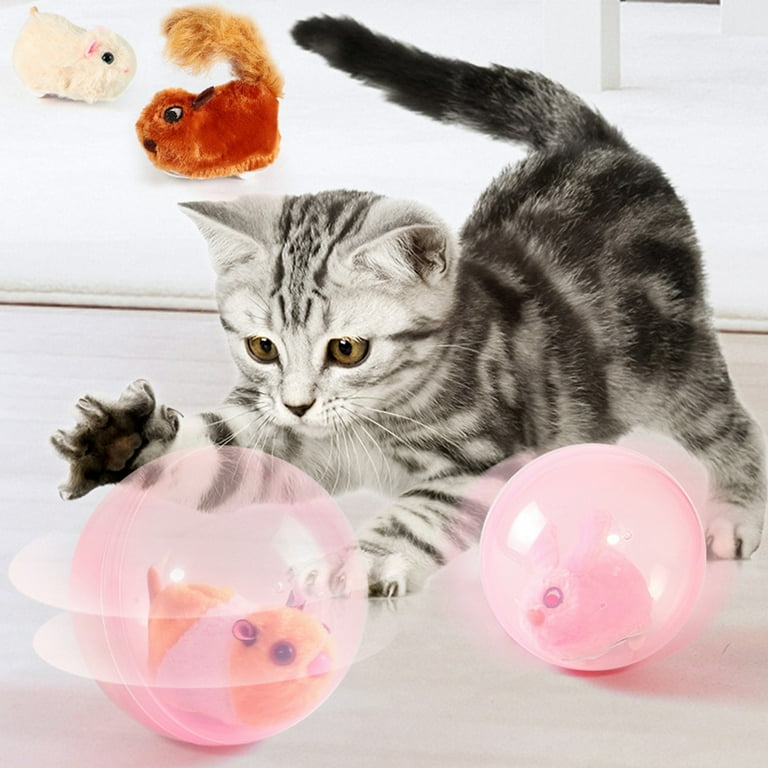 Hamster top cat toy