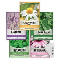 Herbal Tea Seeds For Planting | 5 Variety Pack