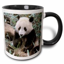 3drose, China, Chengdu, Panda Sanctuary, Panda Bear-as07 Cmi0105 - Cindy Miller Hopkins, 15oz Two-tone Black Mug