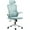 Light Blue, variant on Vinsetto Mesh Office Chair with Headrest, Lumbar Support, Cream White