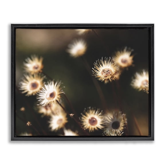 Stupell Industries Contemporary Close Up Floral Buds Black Floating Frame Canvas Art, 31 x 25, by Lil' Rue